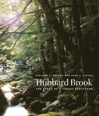 bokomslag Hubbard Brook