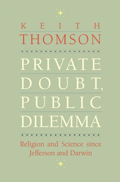 bokomslag Private Doubt, Public Dilemma