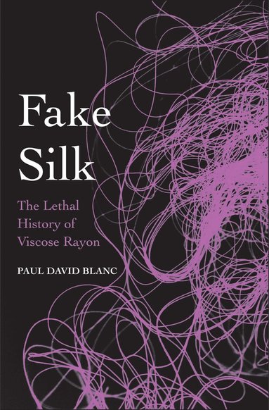 bokomslag Fake Silk