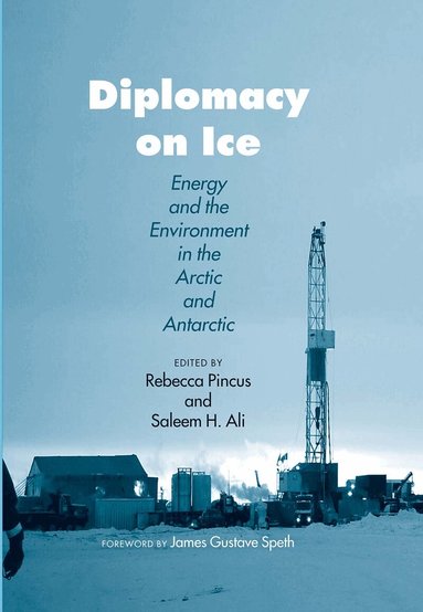 Rebecca H Pincus, Saleem H Ali - Diplomacy on Ice, Inbunden