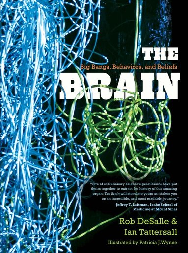 Rob DeSalle, Ian Tattersall - Brain, Häftad
