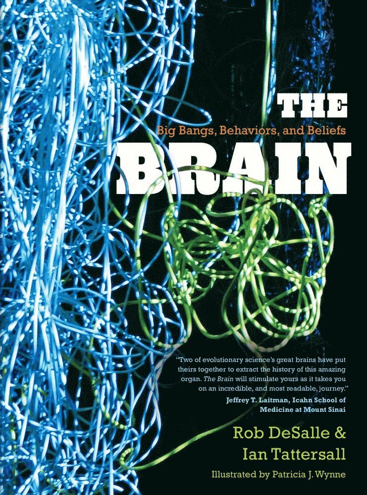 The Brain 1