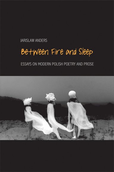 bokomslag Between Fire and Sleep