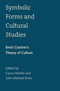 bokomslag Symbolic Forms and Cultural Studies