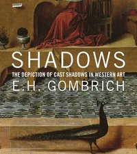 bokomslag Shadows