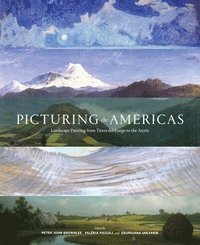 bokomslag Picturing the Americas