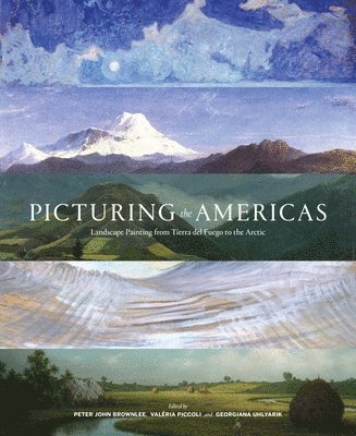 Georgiana Uhlyarik, Valéria Piccoli, Peter John Brownlee, Peter John Brownlee, Valeria Piccoli, Georgiana Uhlyarik - Picturing the Americas, Inbunden