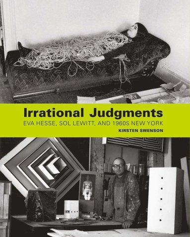 bokomslag Irrational Judgments