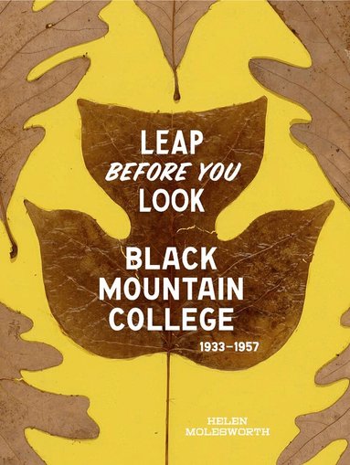 Helen Molesworth - Leap Before You Look, Inbunden