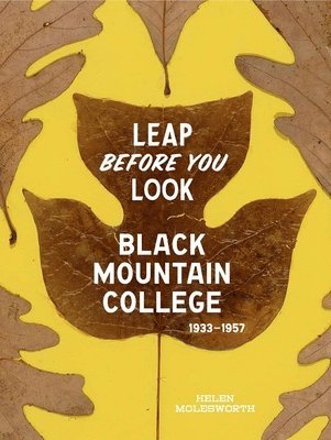 Helen Molesworth - Leap Before You Look, Inbunden