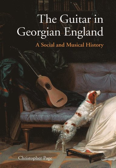 bokomslag Guitar in Georgian England