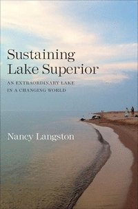 bokomslag Sustaining Lake Superior
