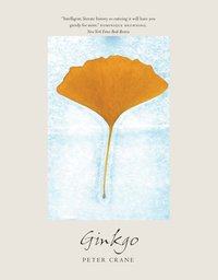 bokomslag Ginkgo