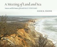 bokomslag A Meeting of Land and Sea: Nature and the Future of Martha's Vineyard