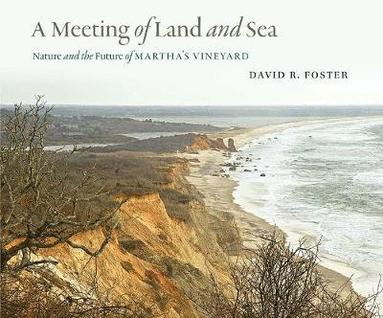 bokomslag A Meeting of Land and Sea: Nature and the Future of Martha's Vineyard