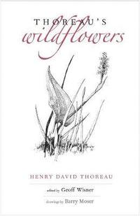 bokomslag Thoreau's Wildflowers