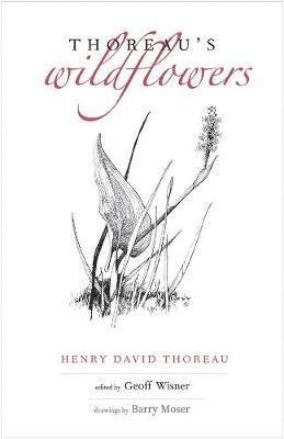 Thoreau's Wildflowers 1