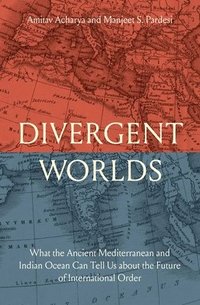 bokomslag Divergent Worlds