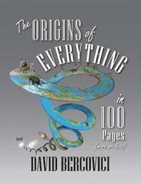 bokomslag Origins of everything in 100 pages (more or less)