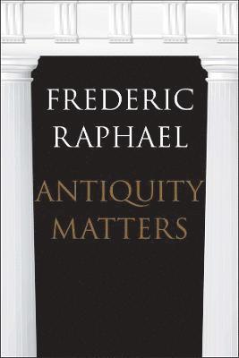 bokomslag Antiquity Matters