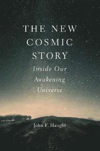 bokomslag The New Cosmic Story