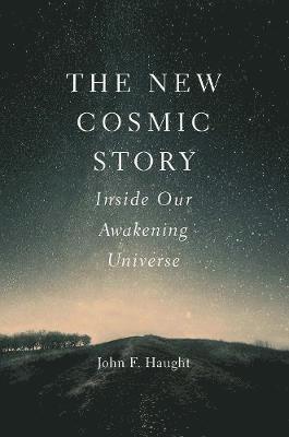 The New Cosmic Story 1