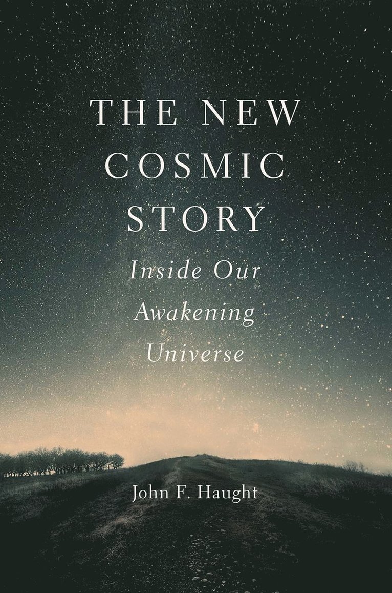 The New Cosmic Story 1