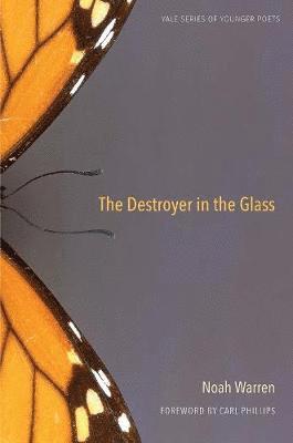The Destroyer in the Glass 1