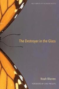 bokomslag The Destroyer in the Glass: Volume 110