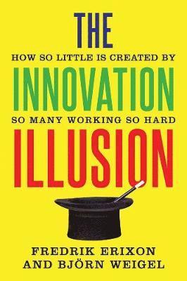 The Innovation Illusion 1