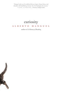 Curiosity 1