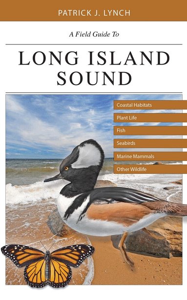 Patrick J. Lynch - Field Guide to Long Island Sound, Häftad
