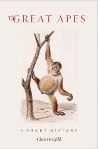 bokomslag The Great Apes