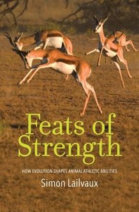 bokomslag Feats of Strength