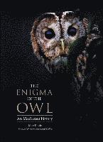 bokomslag The Enigma of the Owl: An Illustrated Natural History