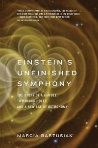 bokomslag Einsteins Unfinished Symphony