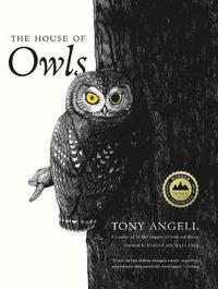 bokomslag The House of Owls