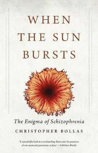bokomslag When the sun bursts - the enigma of schizophrenia