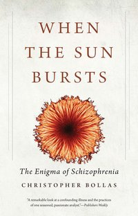 bokomslag When the sun bursts - the enigma of schizophrenia