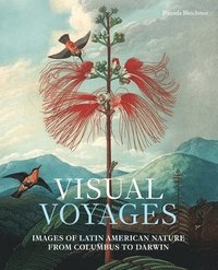 bokomslag Visual Voyages