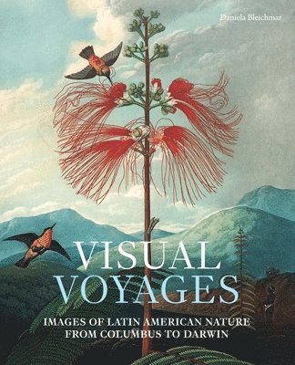 Visual Voyages 1