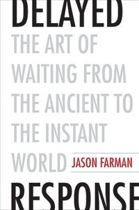 bokomslag Delayed Response: The Art of Waiting from the Ancient to the Instant World