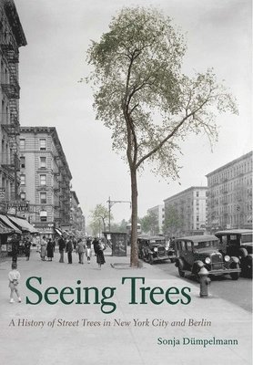 Sonja Dümpelmann, Sonja Dumpelmann - Seeing Trees, Inbunden