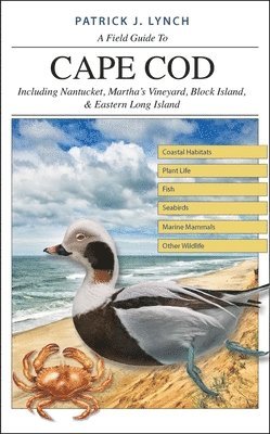 Patrick J. Lynch, Patrick J Lynch - A Field Guide to Cape Cod: Including Nantucket, Martha's Vineyard, Block Island, and Eastern Long Island, Häftad