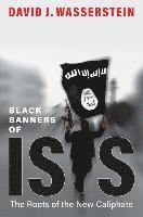 bokomslag Black Banners of ISIS