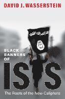 bokomslag Black Banners of ISIS: The Roots of the New Caliphate