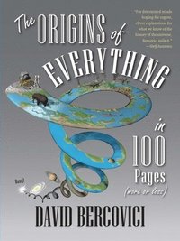 bokomslag The Origins of Everything in 100 Pages (More or Less)