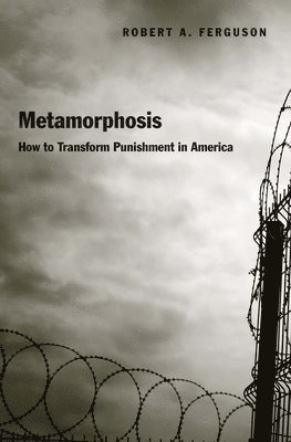 bokomslag Metamorphosis: How to Transform Punishment in America