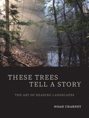 These Trees Tell a Story 1