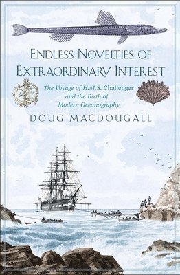 Endless Novelties of Extraordinary Interest 1